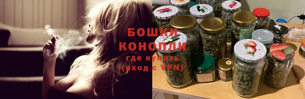 альфа пвп Медногорск