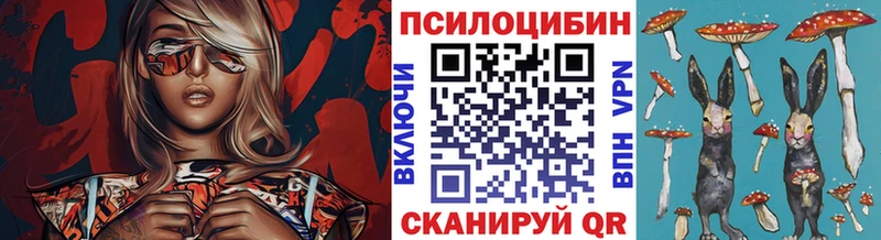 Псилоцибиновые грибы мицелий Николаевск-на-Амуре